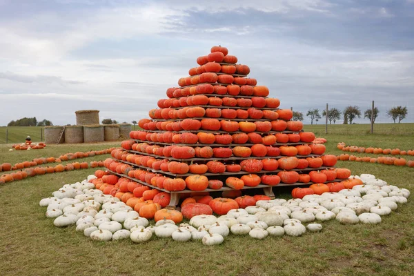 Sonbahar piramit gibi eğlenmek için düzenlenmiş kabaklar hasat