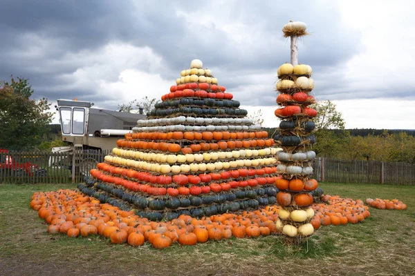 Abóboras colhidas no outono arranjadas para se divertir como pirâmide — Fotografia de Stock