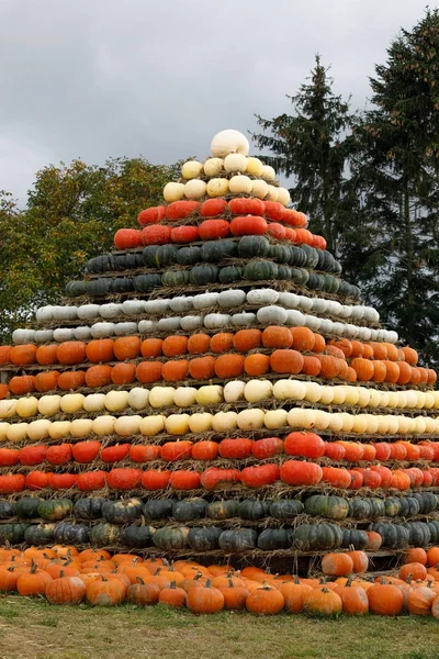 Abóboras colhidas no outono arranjadas para se divertir como pirâmide — Fotografia de Stock
