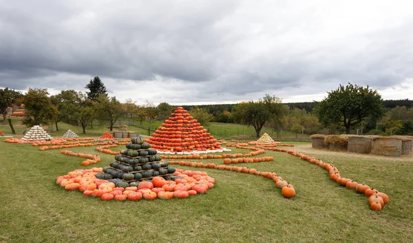 Sonbahar piramit gibi eğlenmek için düzenlenmiş kabaklar hasat