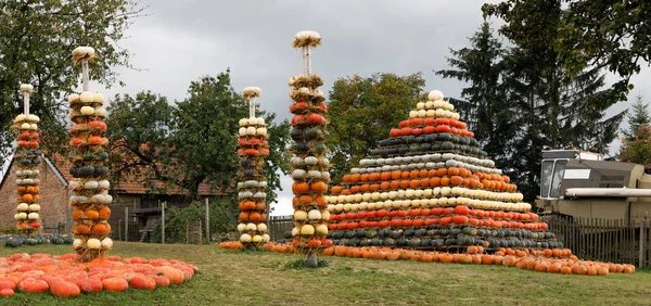 Autumn harvested pumpkins arranged for fun like pyramid — Stock Photo, Image