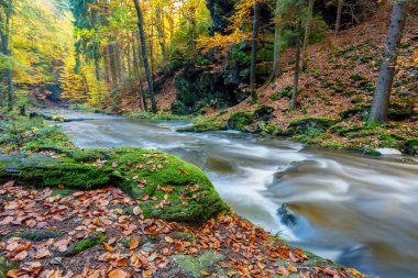 Sonbahar, Güz vahşi nehir Doubrava, güzel manzara.