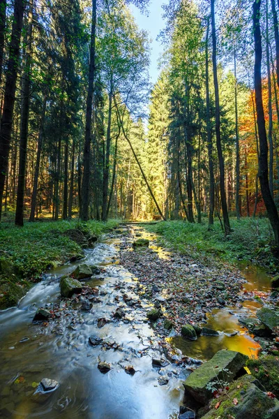 Outono, queda rio selvagem Doubrava, paisagem pitoresca . — Fotografia de Stock