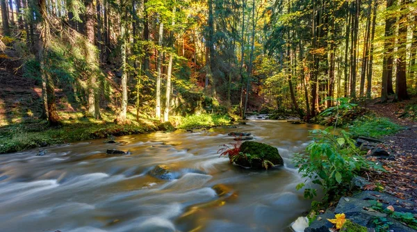 Ősz, őszi vad folyó Doubrava, festői táj. — Stock Fotó