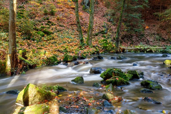 Autumn, fall wild river Doubrava, picturesque landscape. — Stock Photo, Image