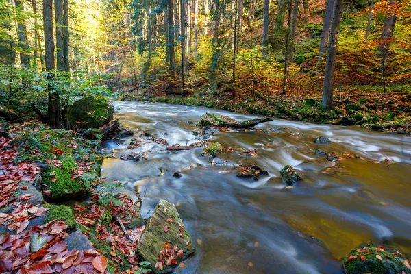 Automne, automne rivière sauvage Doubrava, paysage pittoresque . — Photo