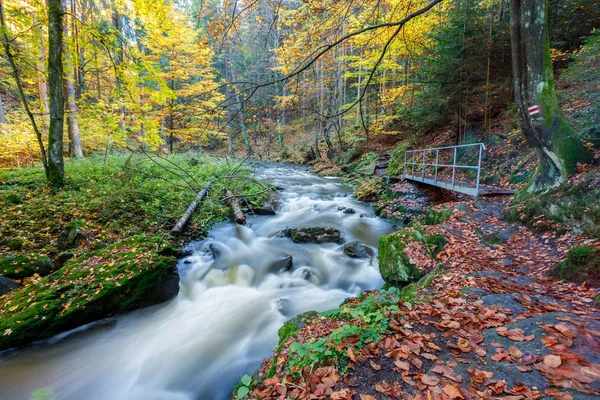 Otoño, caída del río Doubrava, paisaje pintoresco . —  Fotos de Stock