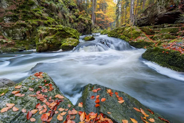 Otoño, caída del río Doubrava, paisaje pintoresco . —  Fotos de Stock