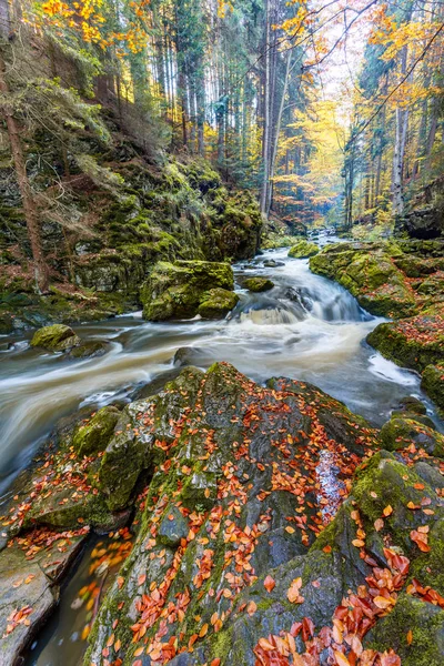 Sonbahar, Güz vahşi nehir Doubrava, güzel manzara.