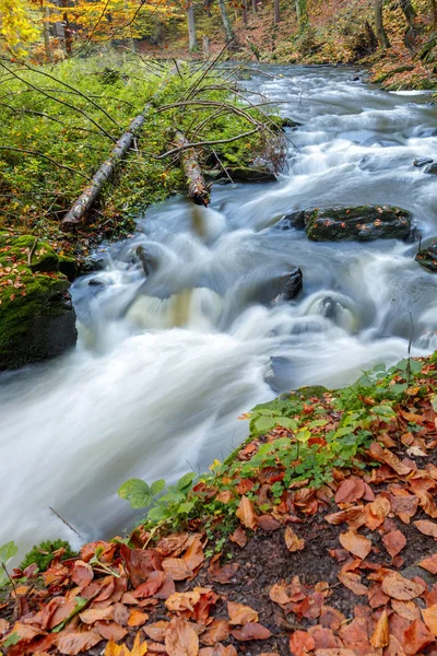 Φθινόπωρο, φθινόπωρο άγριο ποτάμι Doubrava, γραφικό τοπίο. — Φωτογραφία Αρχείου