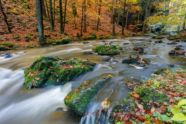 Sonbahar, Güz vahşi nehir Doubrava, güzel manzara. — Stok fotoğraf