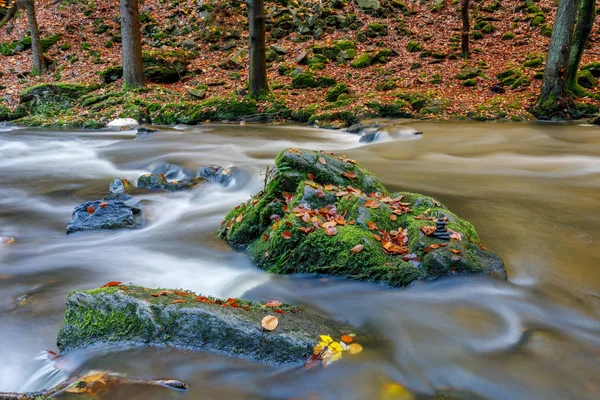 Φθινόπωρο, φθινόπωρο άγριο ποτάμι Doubrava, γραφικό τοπίο. — Φωτογραφία Αρχείου