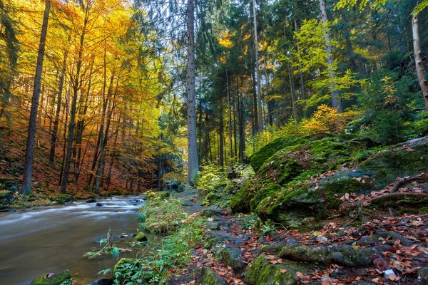 Ősz, őszi vad folyó Doubrava, festői táj. — Stock Fotó