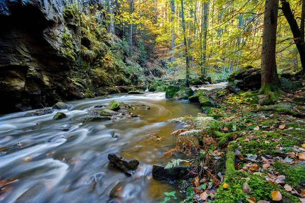 Sonbahar, Güz vahşi nehir Doubrava, güzel manzara. — Stok fotoğraf