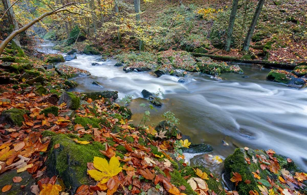 Autumn, fall wild river Doubrava, picturesque landscape. — Stock Photo, Image