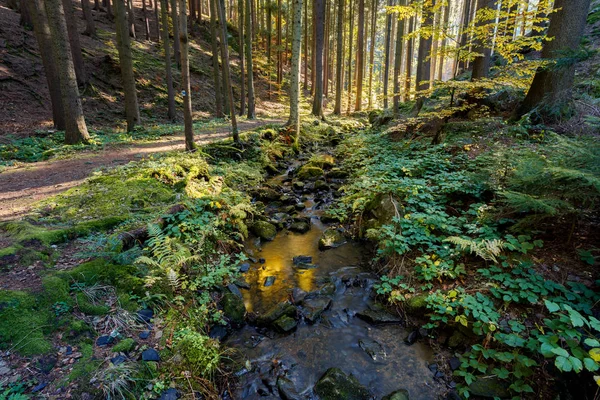 Otoño, caída del río Doubrava, paisaje pintoresco . — Foto de Stock