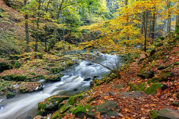 秋、秋の野生の川もリトヴェルスケー ・美しい風景. — ストック写真