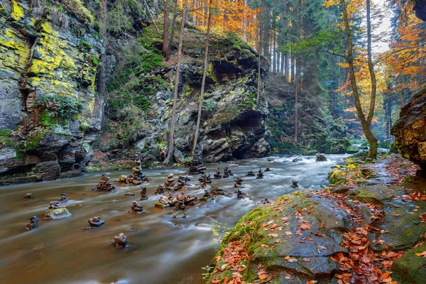 Automne, automne rivière sauvage Doubrava, paysage pittoresque . — Photo