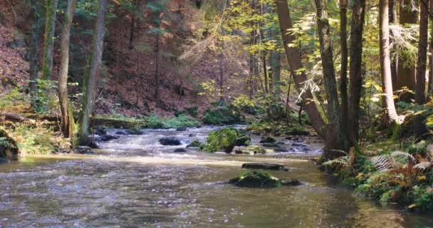 divoká řeka Doubrava v podzimních barvách, malebná krajina