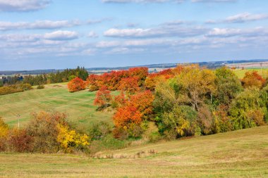 Sonbahar manzarası ile sonbahar renkli ağaçlar
