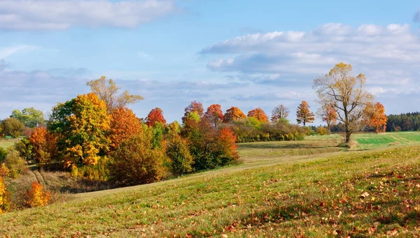 Herbstlandschaft mit fallfarbigen Bäumen — Stockfoto