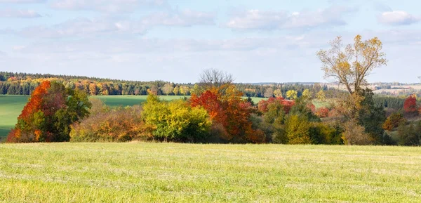 Paysage d'automne avec des arbres de couleur automne — Photo