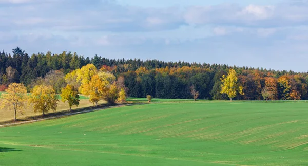 Paisagem de outono com árvores coloridas queda — Fotografia de Stock