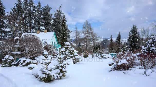 Giardino Inverno Casa Rurale Con Neve Loop Senza Soluzione Continuità — Video Stock