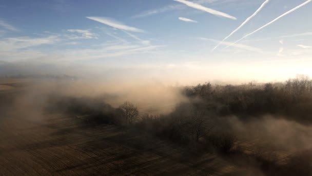 Luchtfoto Mistige Ochtend Landschap Met Zon Lichtbundel Boom Platteland — Stockvideo