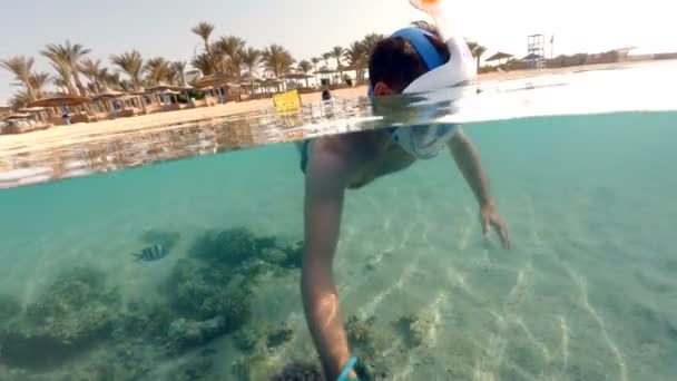 Schnorchel schwimmt in seichtem Wasser, rotem Meer, Ägypten — Stockvideo