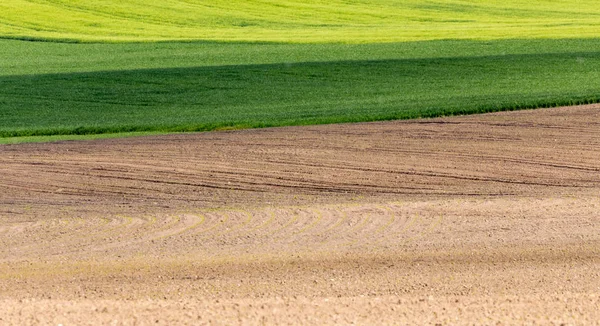 Bellissimo colore primavera paesaggio rurale campo — Foto Stock