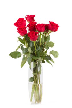 Beyaz arkaplanda kırmızı güller