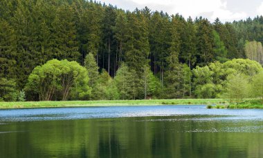 Küçük su birikintisi, güzel bahar yatay.