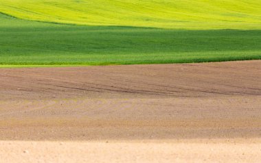 kırsal manzara güzel bahar