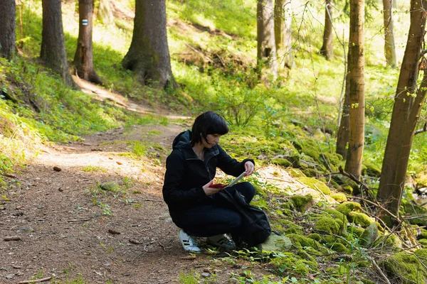 中年の女性、旅行をハイキング — ストック写真