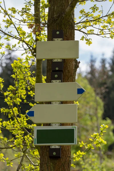 Posto de sinalização turístico vazio na floresta — Fotografia de Stock