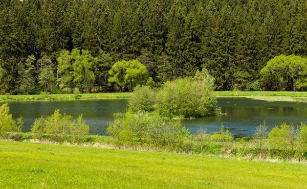 Bela paisagem de primavera com pequena lagoa . — Fotografia de Stock