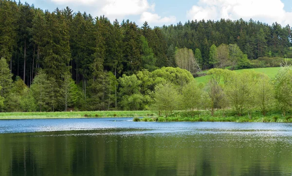 Bela paisagem de primavera com pequena lagoa . — Fotografia de Stock