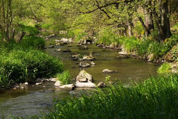 Pequeño río salvaje de montaña en primavera —  Fotos de Stock