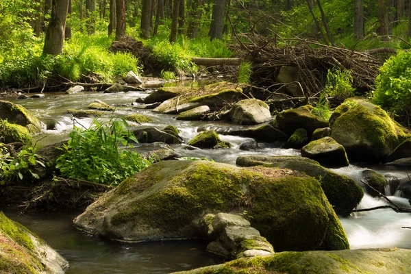 Small mountain wild river in spring — Stock Photo, Image