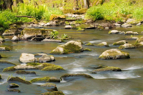 Pequeño río salvaje de montaña en primavera — Foto de Stock