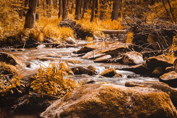 Kleiner Gebirgsfluss im Frühling — Stockfoto