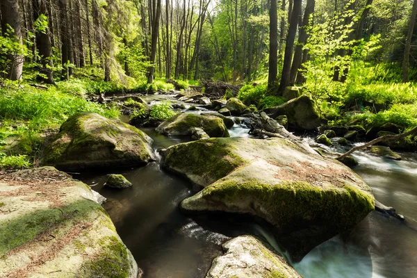 Small mountain wild river in spring — Stock Photo, Image