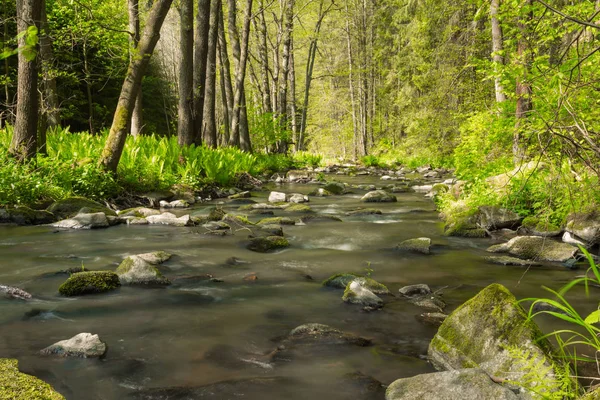 Pequeño río salvaje de montaña en primavera — Foto de Stock