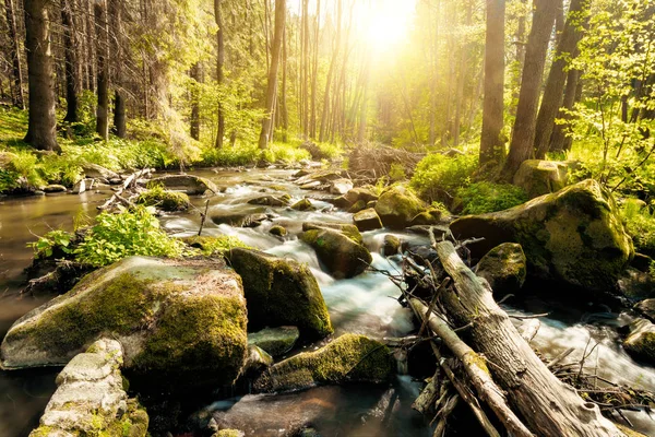 Small mountain wild river in spring — Stock Photo, Image