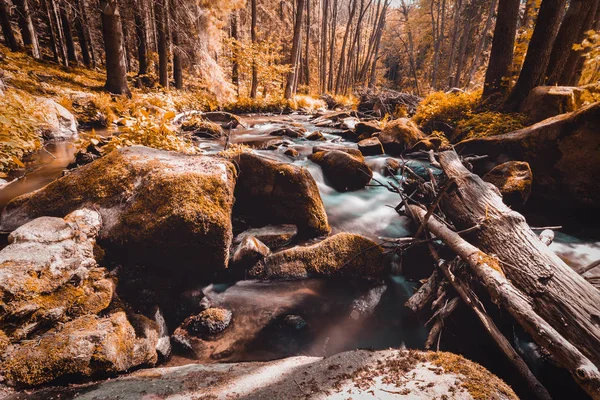 Küçük dağ vahşi nehir bahar — Stok fotoğraf
