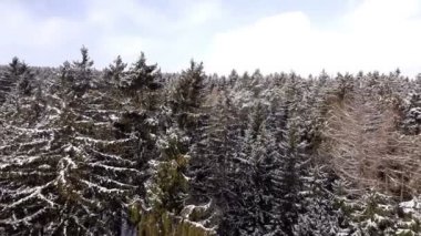 Hava kış manzarası