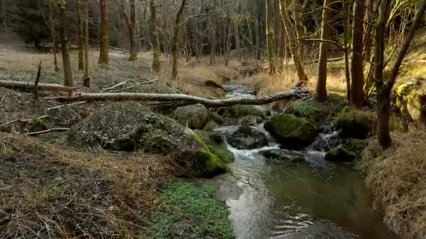 Cascata d'acqua sul piccolo fiume di montagna — Video Stock