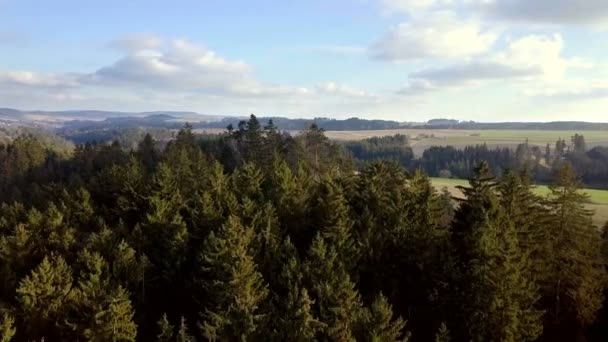 Повітряна сільська місцевість високогірний ландшафт з лісом — стокове відео