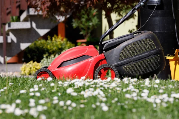 Cortacésped sobre hierba verde — Foto de Stock